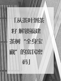 从茶叶到茶籽 解锁福建茶树“全身宝藏”的富民密码