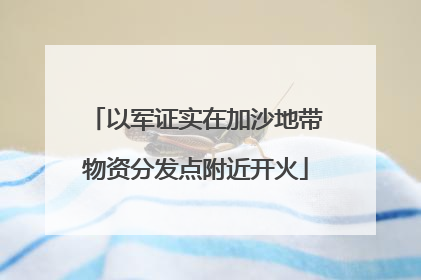 以军证实在加沙地带物资分发点附近开火