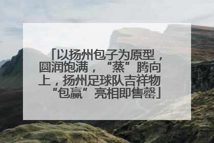 以扬州包子为原型，圆润饱满，“蒸”腾向上，扬州足球队吉祥物“包赢”亮相即售罄