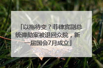以拖待变？菲律宾副总统弹劾案被退回众院，新一届国会7月成立