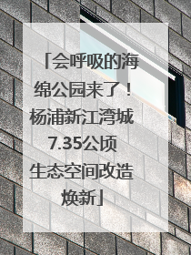 会呼吸的海绵公园来了！杨浦新江湾城7.35公顷生态空间改造焕新