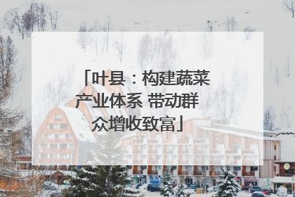 叶县：构建蔬菜产业体系 带动群众增收致富