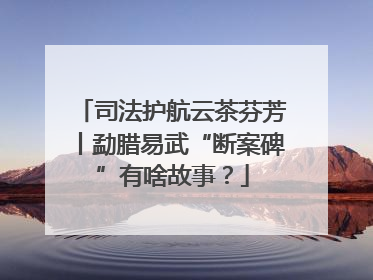 司法护航云茶芬芳丨勐腊易武“断案碑”有啥故事？