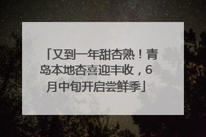 又到一年甜杏熟！青岛本地杏喜迎丰收，6月中旬开启尝鲜季