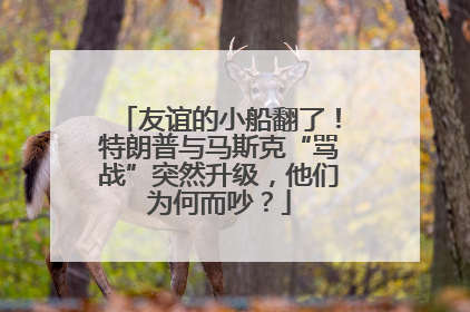 友谊的小船翻了！特朗普与马斯克“骂战”突然升级，他们为何而吵？