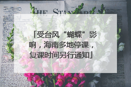 受台风“蝴蝶”影响，海南多地停课，复课时间另行通知