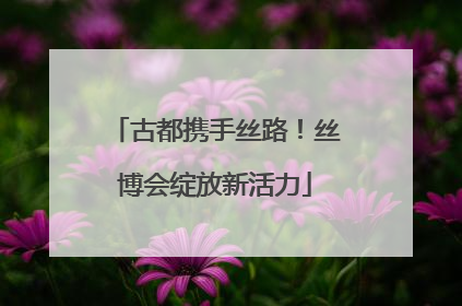 古都携手丝路！丝博会绽放新活力