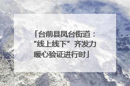 台前县凤台街道：“线上线下”齐发力 暖心验证进行时