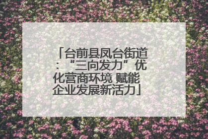 台前县凤台街道：“三向发力”优化营商环境 赋能企业发展新活力