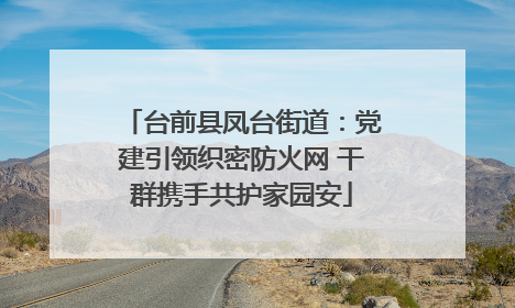台前县凤台街道：党建引领织密防火网 干群携手共护家园安