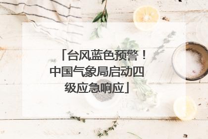 台风蓝色预警！中国气象局启动四级应急响应