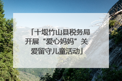 十堰竹山县税务局开展“爱心妈妈”关爱留守儿童活动