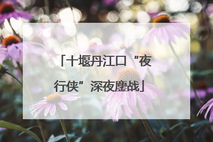 十堰丹江口“夜行侠”深夜鏖战