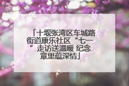十堰张湾区车城路街道康乐社区“七一”走访送温暖 纪念章里蕴深情