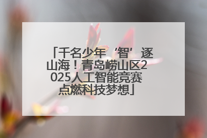 千名少年‘智’逐山海！青岛崂山区2025人工智能竞赛点燃科技梦想