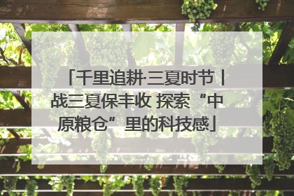 千里追耕·三夏时节丨战三夏保丰收 探索“中原粮仓”里的科技感