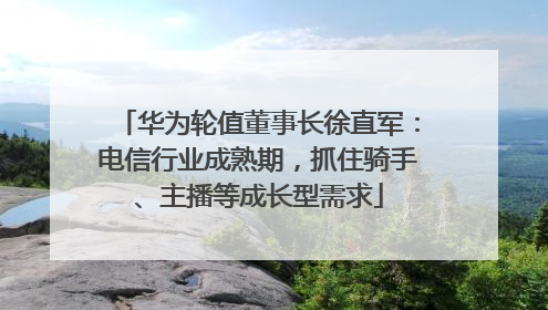 华为轮值董事长徐直军：电信行业成熟期，抓住骑手、主播等成长型需求
