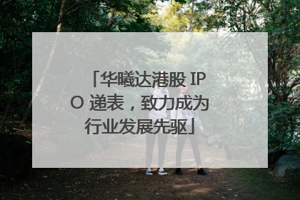华曦达港股 IPO 递表，致力成为行业发展先驱