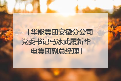 华能集团安徽分公司党委书记马冰武履新华电集团副总经理
