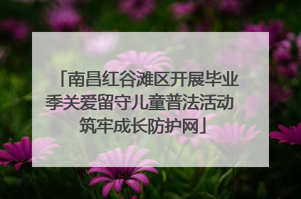 南昌红谷滩区开展毕业季关爱留守儿童普法活动 筑牢成长防护网
