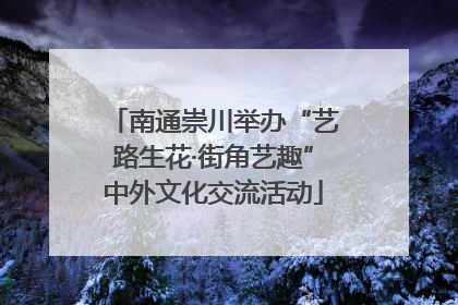 南通崇川举办“艺路生花·街角艺趣”中外文化交流活动