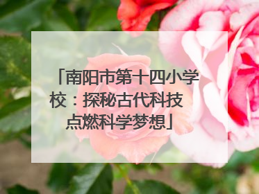 南阳市第十四小学校：探秘古代科技 点燃科学梦想