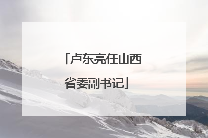 卢东亮任山西省委副书记