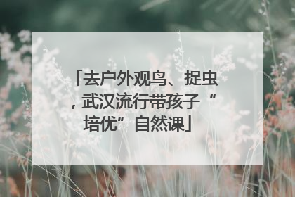 去户外观鸟、捉虫，武汉流行带孩子“培优”自然课