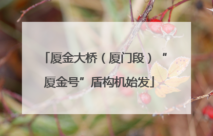 厦金大桥（厦门段）“厦金号”盾构机始发