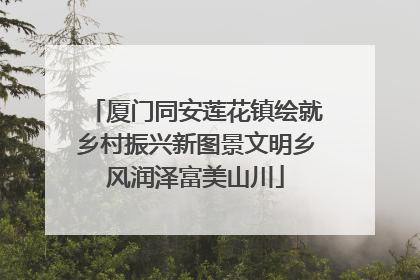 厦门同安莲花镇绘就乡村振兴新图景文明乡风润泽富美山川