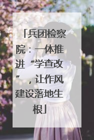 兵团检察院：一体推进“学查改”，让作风建设落地生根