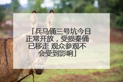 兵马俑三号坑今日正常开放，受损秦俑已移走 观众参观不会受到影响