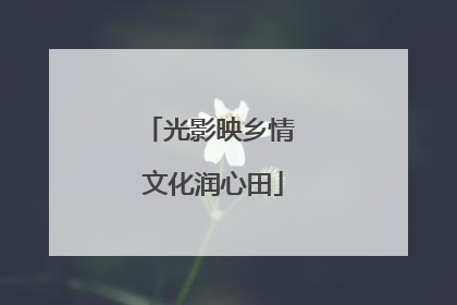 光影映乡情 文化润心田