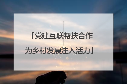 党建互联帮扶合作 为乡村发展注入活力