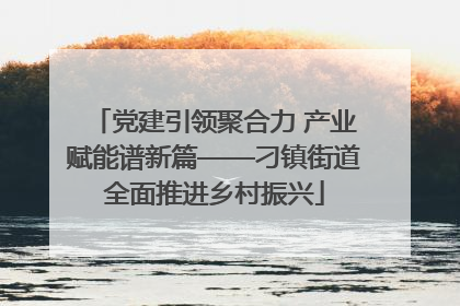 党建引领聚合力 产业赋能谱新篇——刁镇街道全面推进乡村振兴