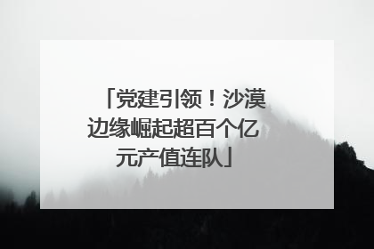 党建引领！沙漠边缘崛起超百个亿元产值连队