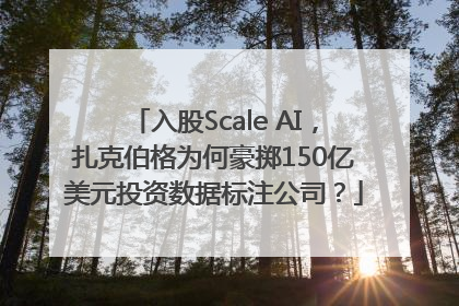 入股Scale AI，扎克伯格为何豪掷150亿美元投资数据标注公司？