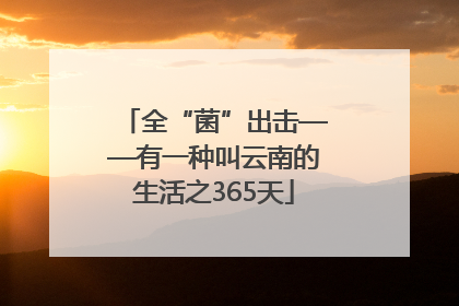 全“菌”出击——有一种叫云南的生活之365天