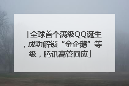 全球首个满级QQ诞生，成功解锁“金企鹅”等级，腾讯高管回应