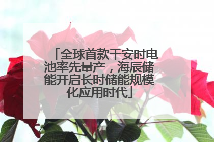 全球首款千安时电池率先量产，海辰储能开启长时储能规模化应用时代