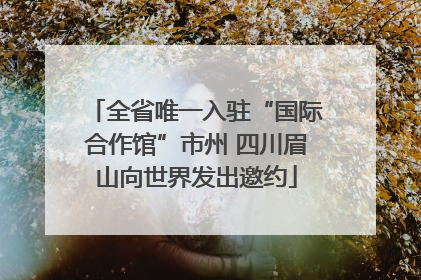 全省唯一入驻“国际合作馆”市州 四川眉山向世界发出邀约
