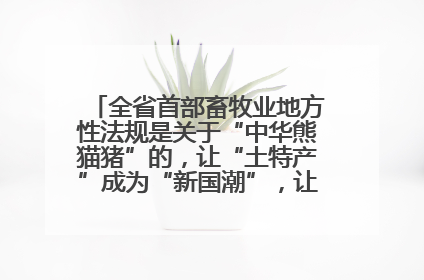 全省首部畜牧业地方性法规是关于“中华熊猫猪”的，让“土特产”成为“新国潮”，让“农产品”升格为“城市IP”