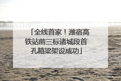 全线首家！潍宿高铁站前三标诸城段首孔箱梁架设成功