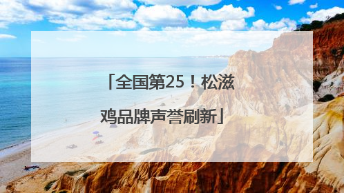 全国第25！松滋鸡品牌声誉刷新