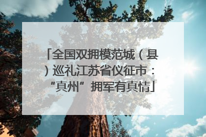 全国双拥模范城（县）巡礼江苏省仪征市：“真州”拥军有真情
