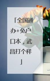 全国通办+免户口本，武昌打个样