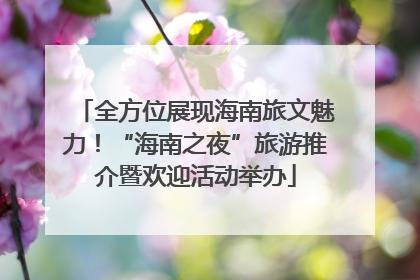 全方位展现海南旅文魅力！“海南之夜”旅游推介暨欢迎活动举办