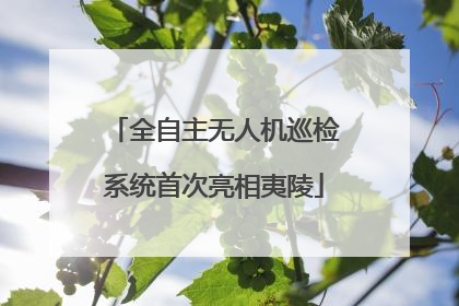 全自主无人机巡检系统首次亮相夷陵