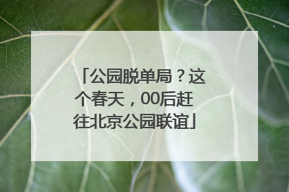 公园脱单局？这个春天，00后赶往北京公园联谊