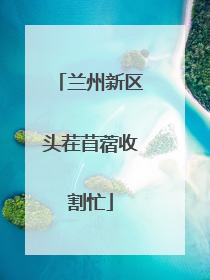 兰州新区头茬苜蓿收割忙